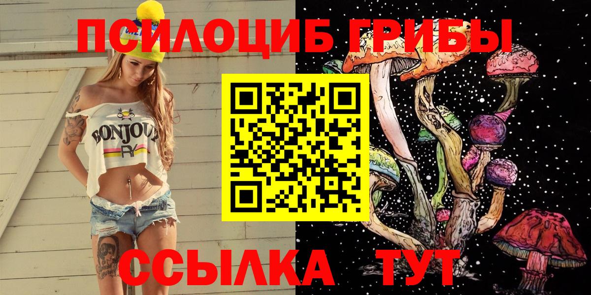 Псилоцибиновые грибы Cubensis  Псилоцибиновые грибы прущие грибы  Вход с VPN  Зеленокумск 